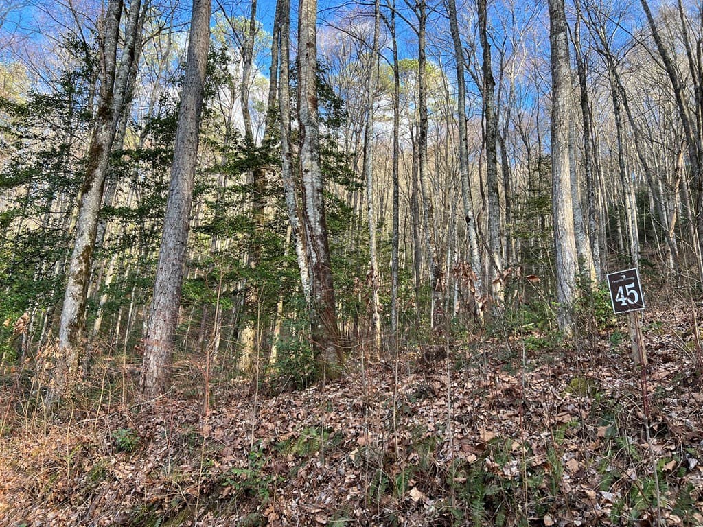 Lot 45 Tusquittee Crossing, Hayesville NC 28904 - Photo