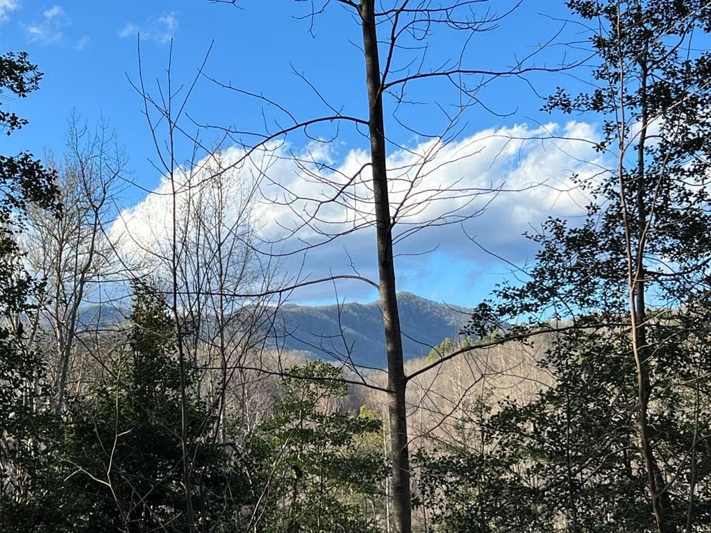 Lot 45 Tusquittee Crossing, Hayesville NC 28904 - Primary photo
