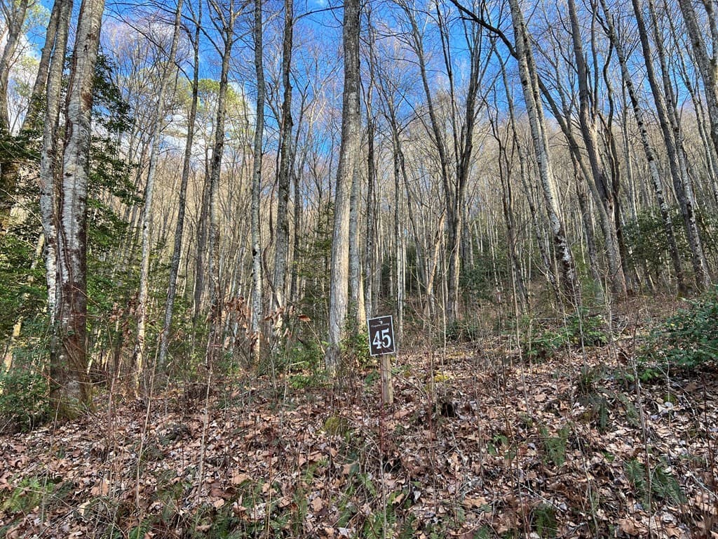 Lot 45 Tusquittee Crossing, Hayesville NC 28904 - Photo