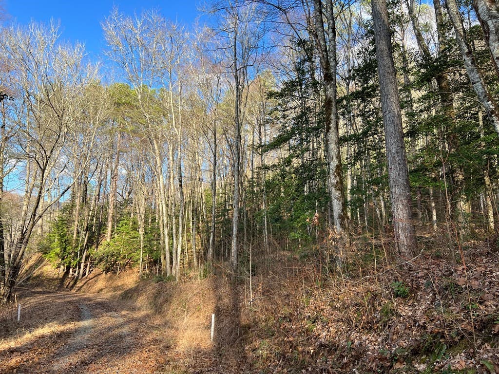 Lot 45 Tusquittee Crossing, Hayesville NC 28904 - Photo