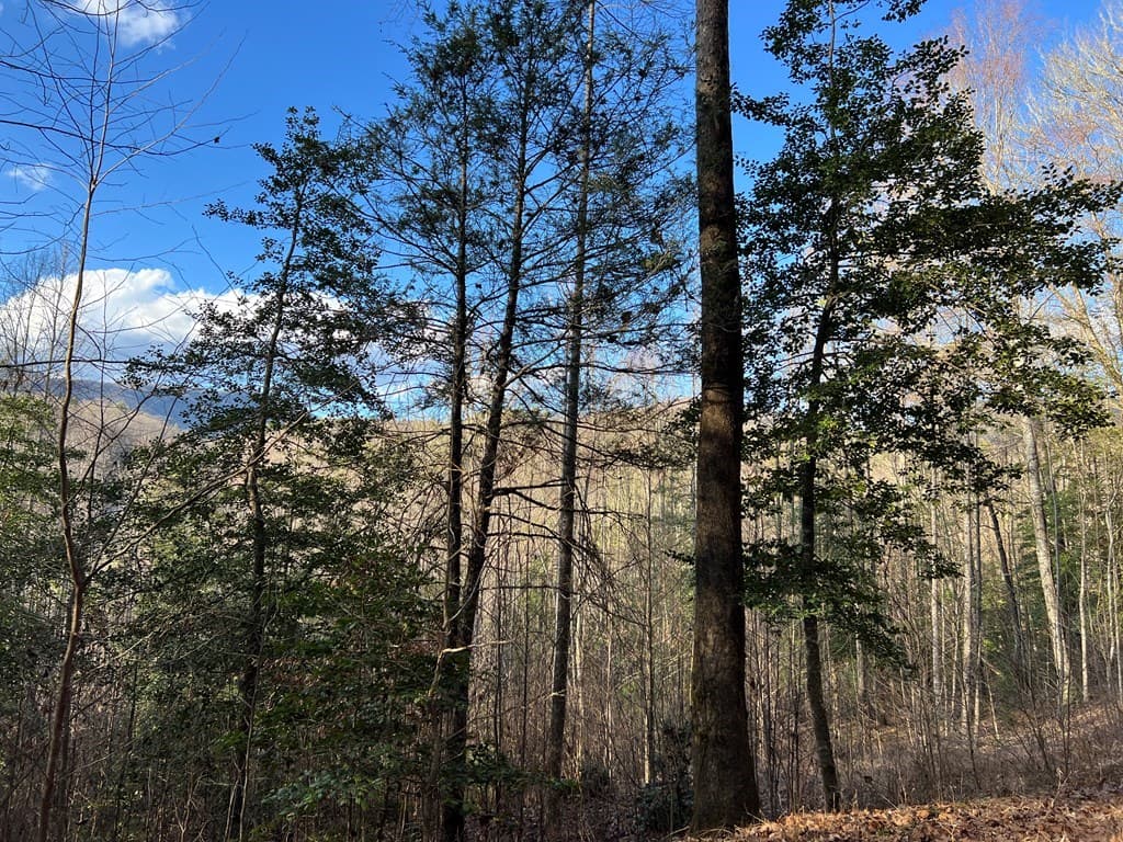 Lot 45 Tusquittee Crossing, Hayesville NC 28904 - Photo