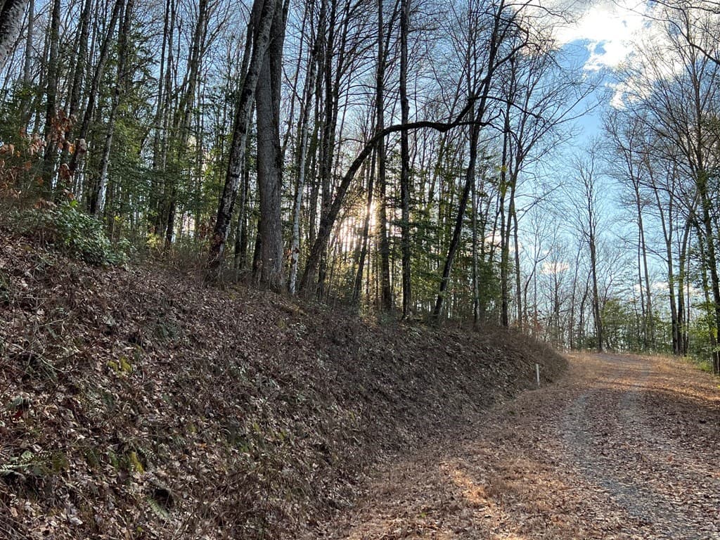 Lot 45 Tusquittee Crossing, Hayesville NC 28904 - Photo