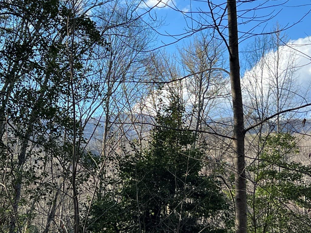 Lot 45 Tusquittee Crossing, Hayesville NC 28904 - Photo