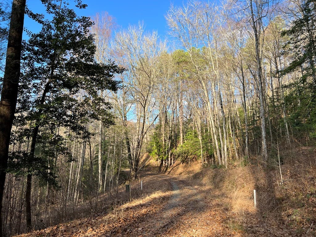 Lot 45 Tusquittee Crossing, Hayesville NC 28904 - Photo