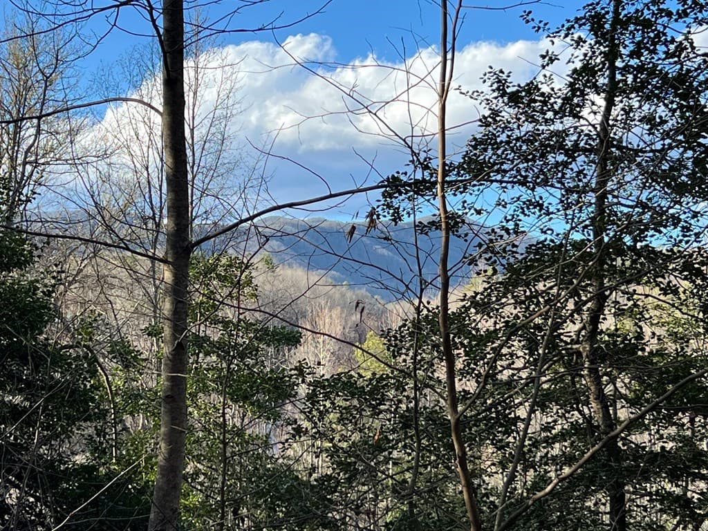 Lot 45 Tusquittee Crossing, Hayesville NC 28904 - Photo