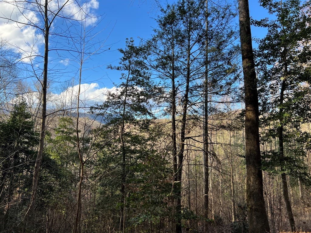 Lot 45 Tusquittee Crossing, Hayesville NC 28904 - Photo