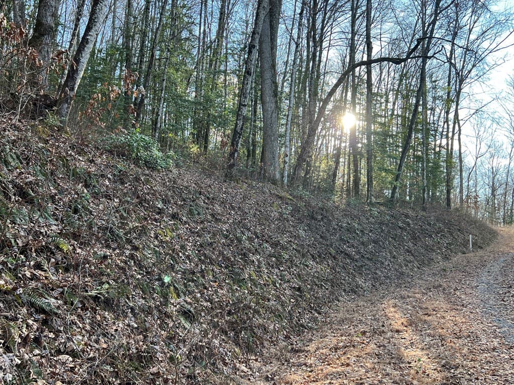 Lot 45 Tusquittee Crossing, Hayesville NC 28904 - Photo