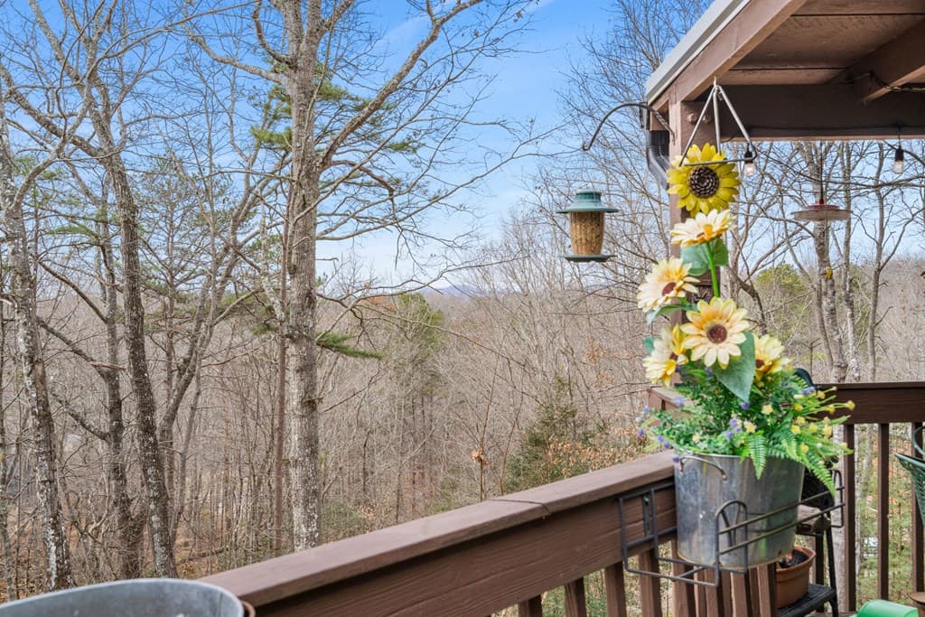 150 Cassady Lane, Murphy NC 28906 - Photo