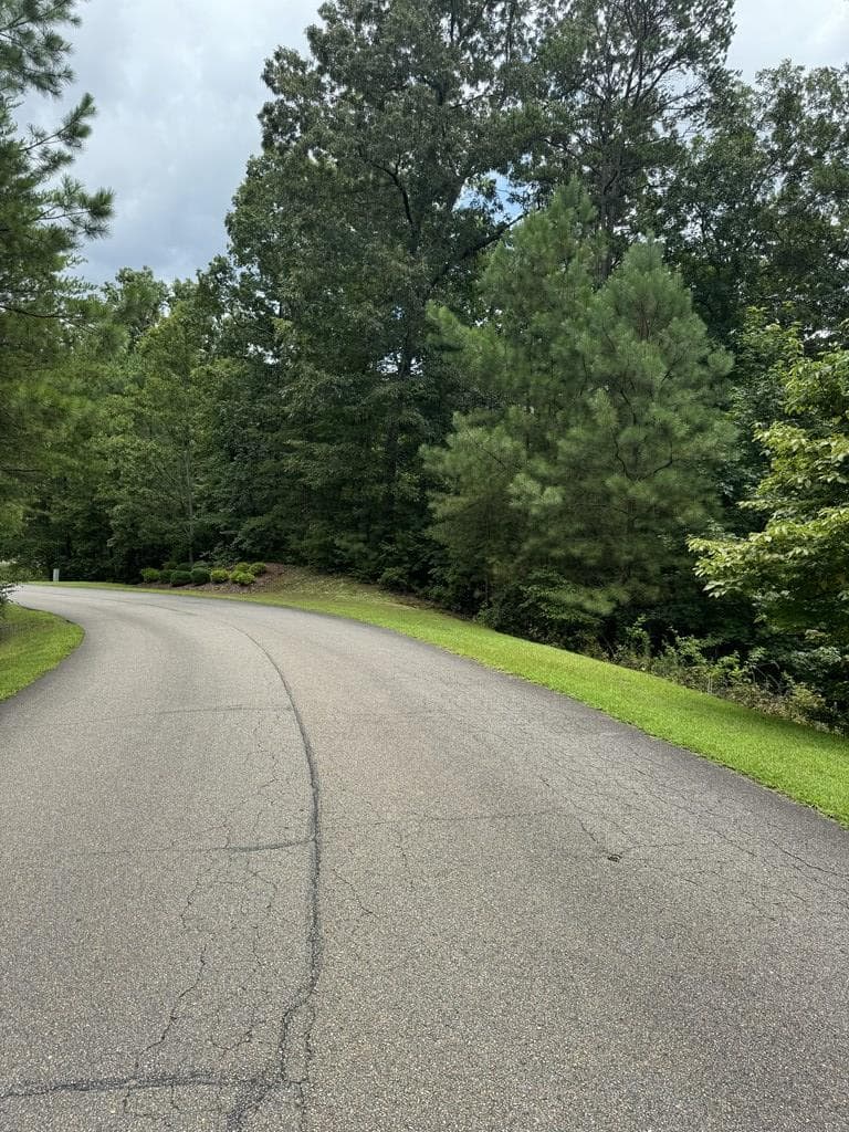 LOT 5 Harris Creek Drive, Ellijay GA 30540 - Photo