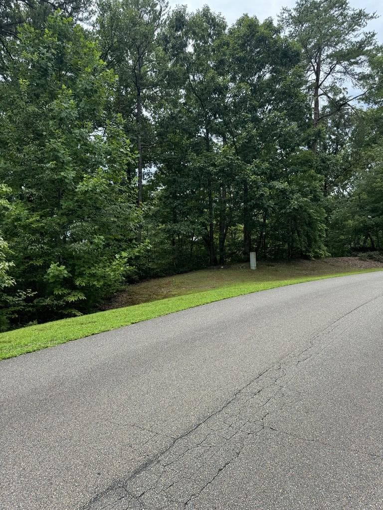 LOT 5 Harris Creek Drive, Ellijay GA 30540 - Photo