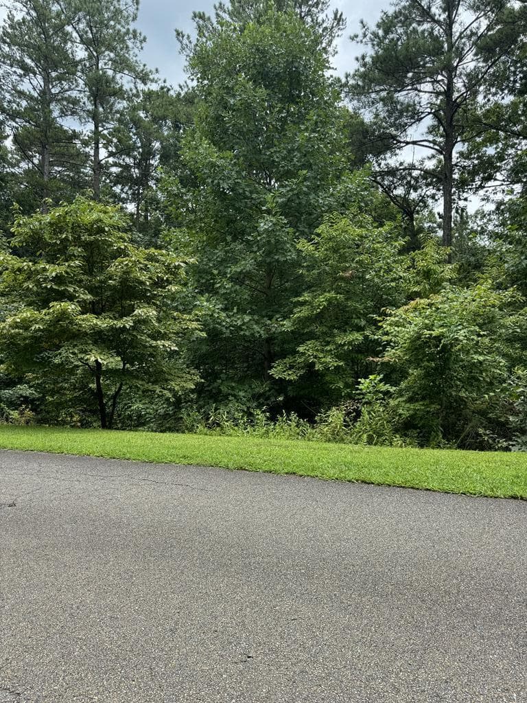 LOT 5 Harris Creek Drive, Ellijay GA 30540 - Primary photo