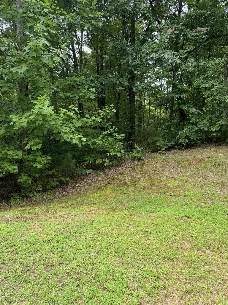 LOT 5 Harris Creek Drive, Ellijay GA 30540 - Photo