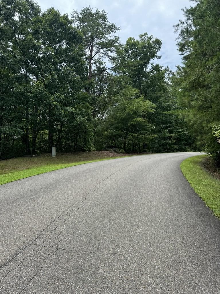 LOT 5 Harris Creek Drive, Ellijay GA 30540 - Photo