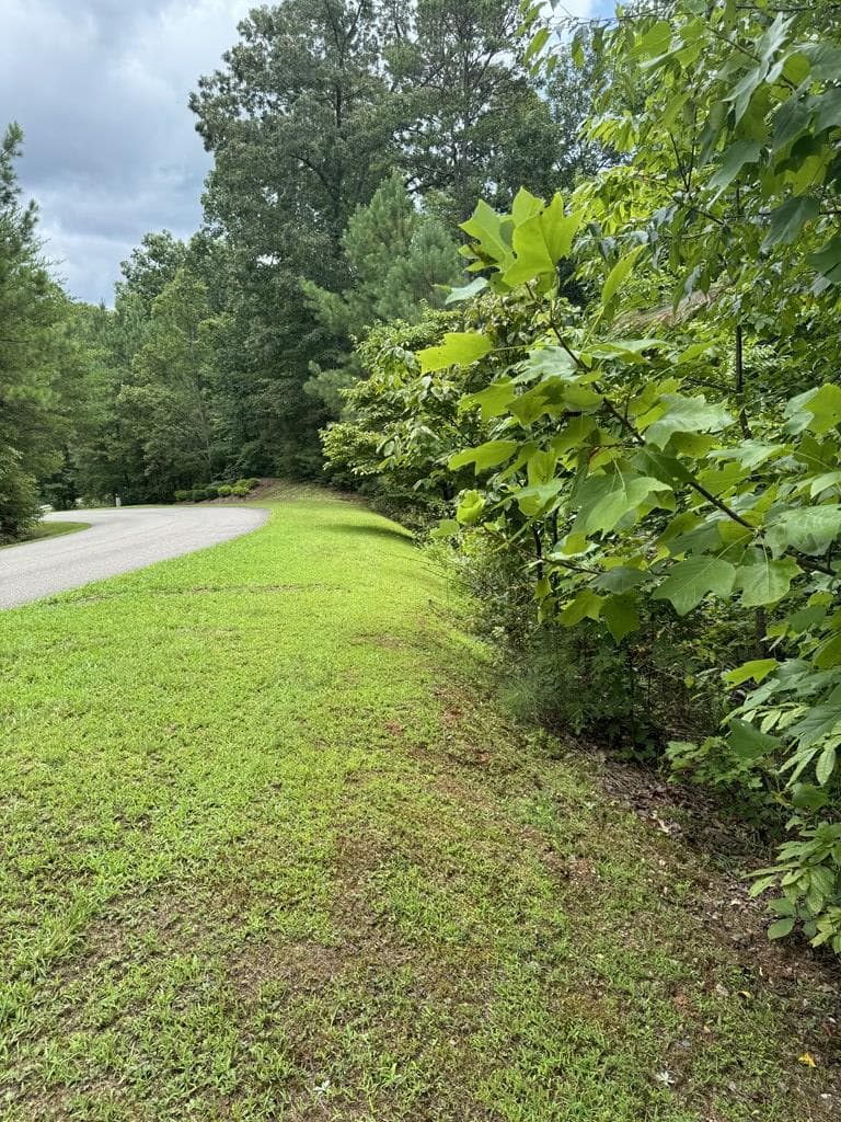 LOT 5 Harris Creek Drive, Ellijay GA 30540 - Photo