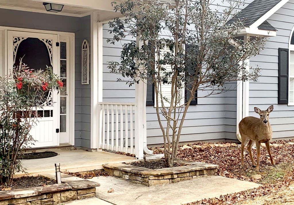 111 Seneca Way, Ellijay GA 30540 - Photo