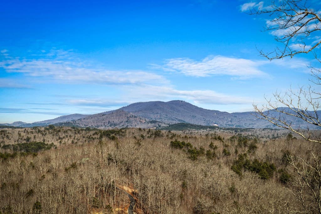 31 Hope Drive, Blue Ridge GA 30513 - Photo