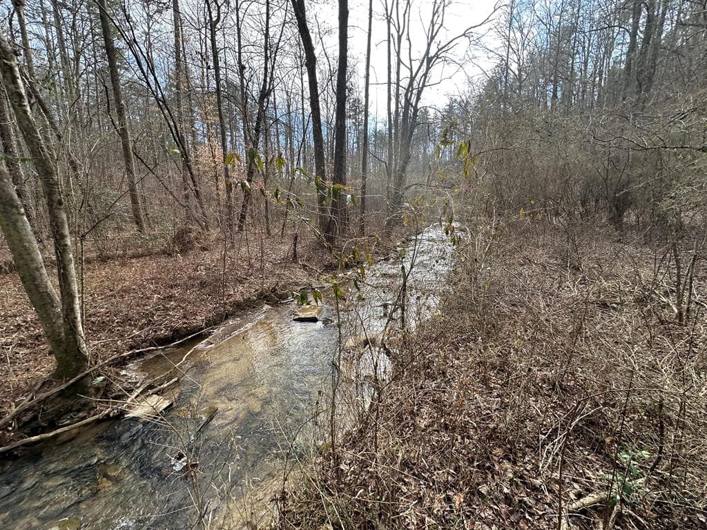 138 Rhondas Way, Ellijay GA 30540 - Photo