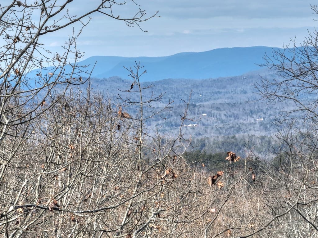 LTS 159+ Hickory Trace, Ellijay GA 30536 - Photo