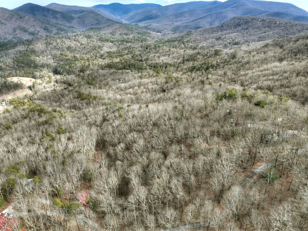 LTS 159+ Hickory Trace, Ellijay GA 30536 - Photo