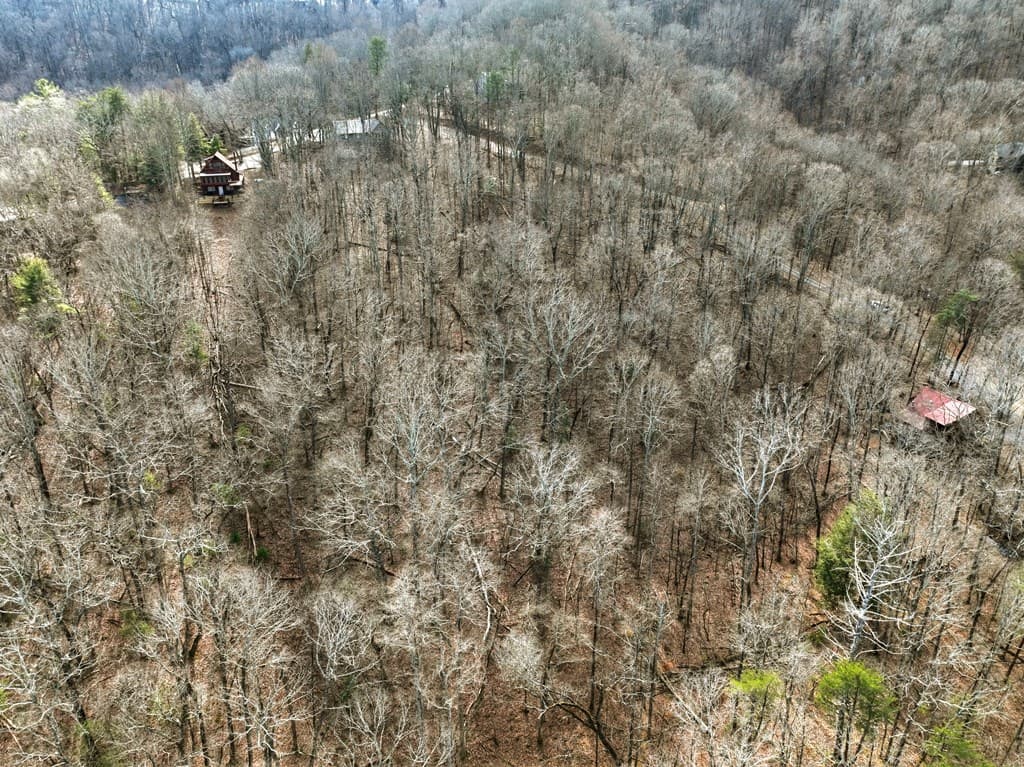 LTS 159+ Hickory Trace, Ellijay GA 30536 - Photo