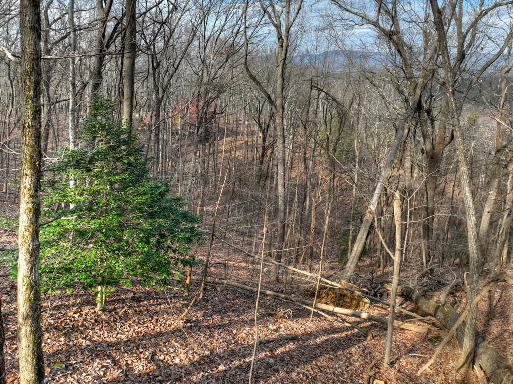 LTS 159+ Hickory Trace, Ellijay GA 30536 - Photo