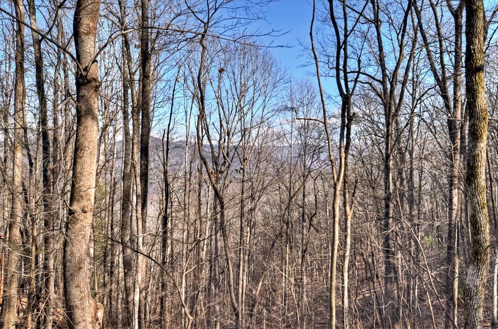 LTS 159+ Hickory Trace, Ellijay GA 30536 - Photo