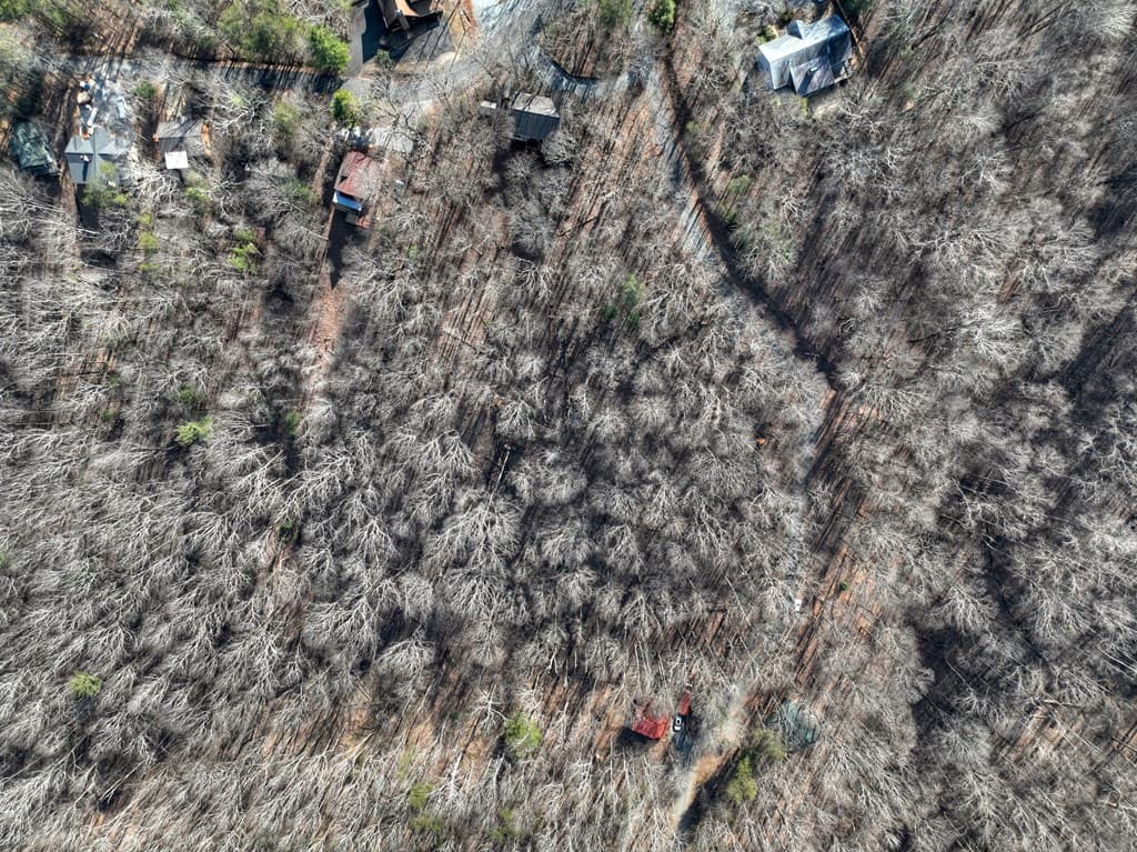 LTS 159+ Hickory Trace, Ellijay GA 30536 - Photo
