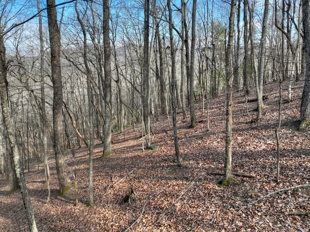 LTS 159+ Hickory Trace, Ellijay GA 30536 - Photo
