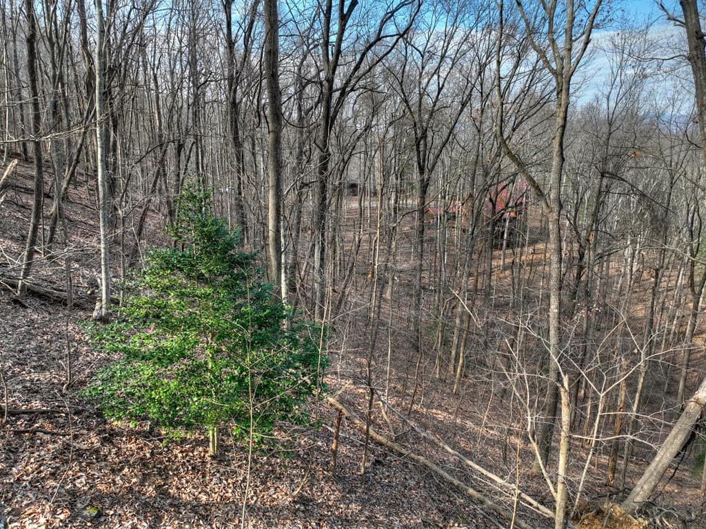 LTS 159+ Hickory Trace, Ellijay GA 30536 - Primary photo