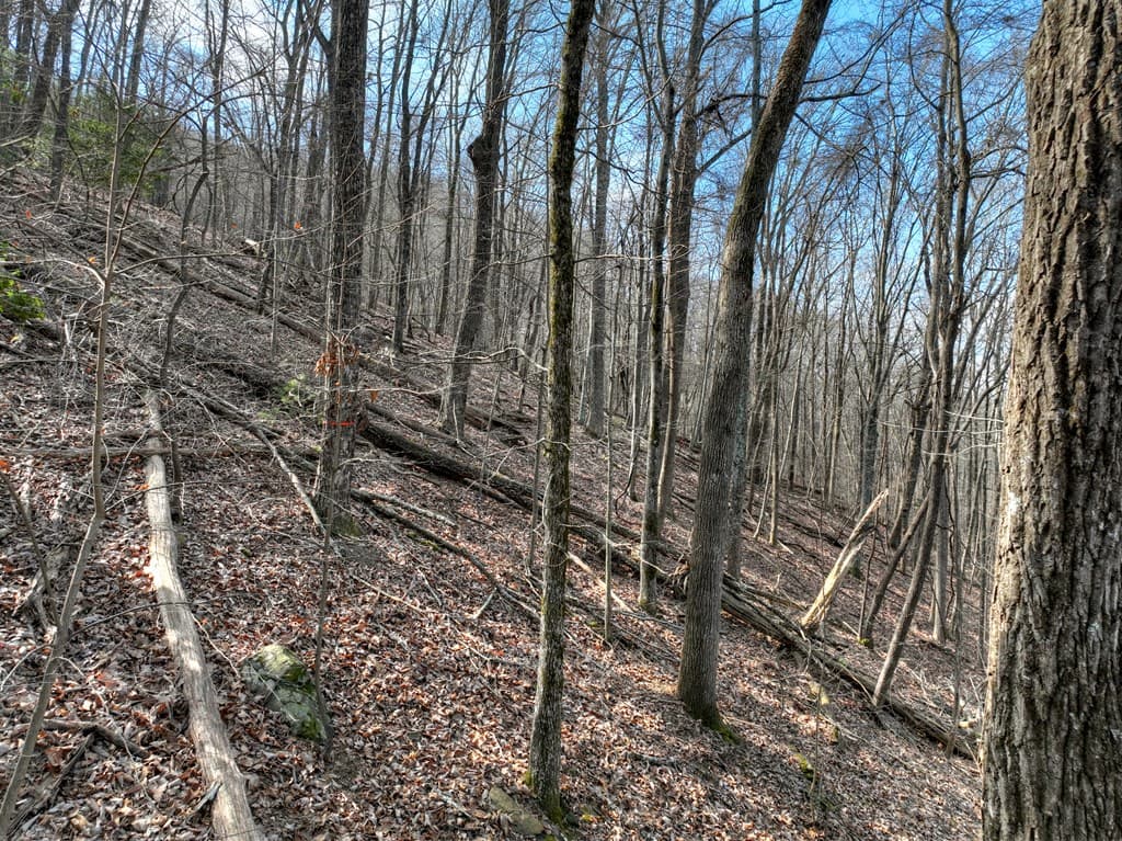LTS 159+ Hickory Trace, Ellijay GA 30536 - Photo