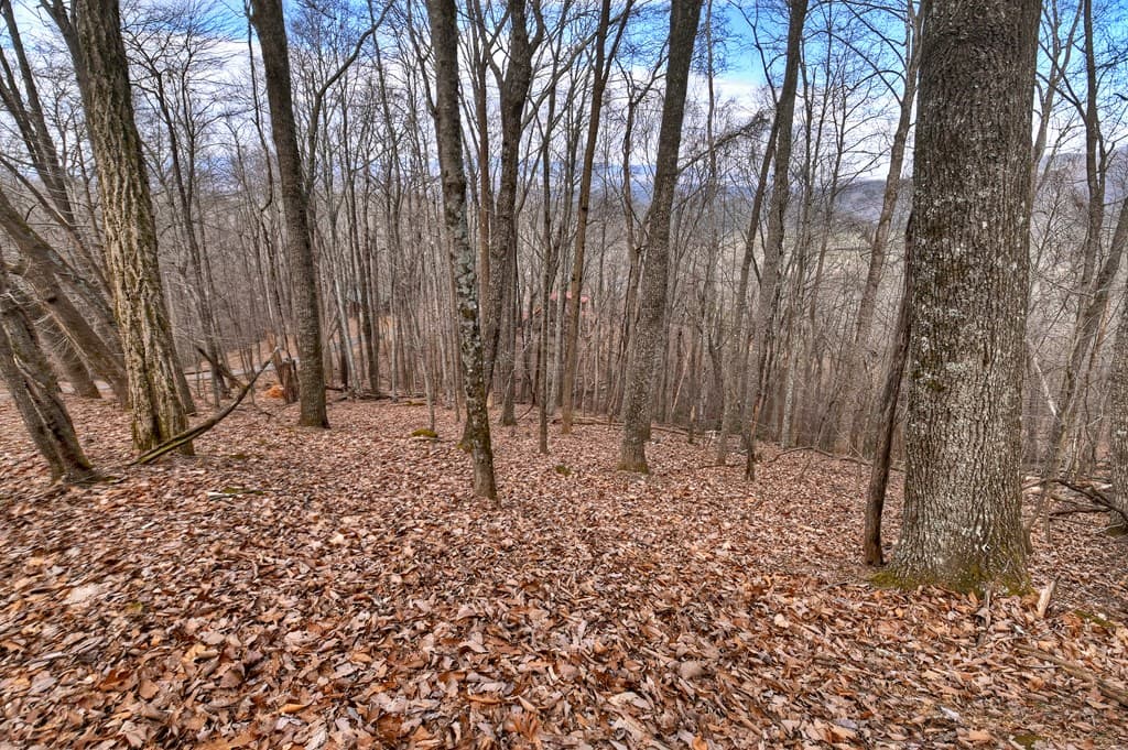 LTS 159+ Hickory Trace, Ellijay GA 30536 - Photo