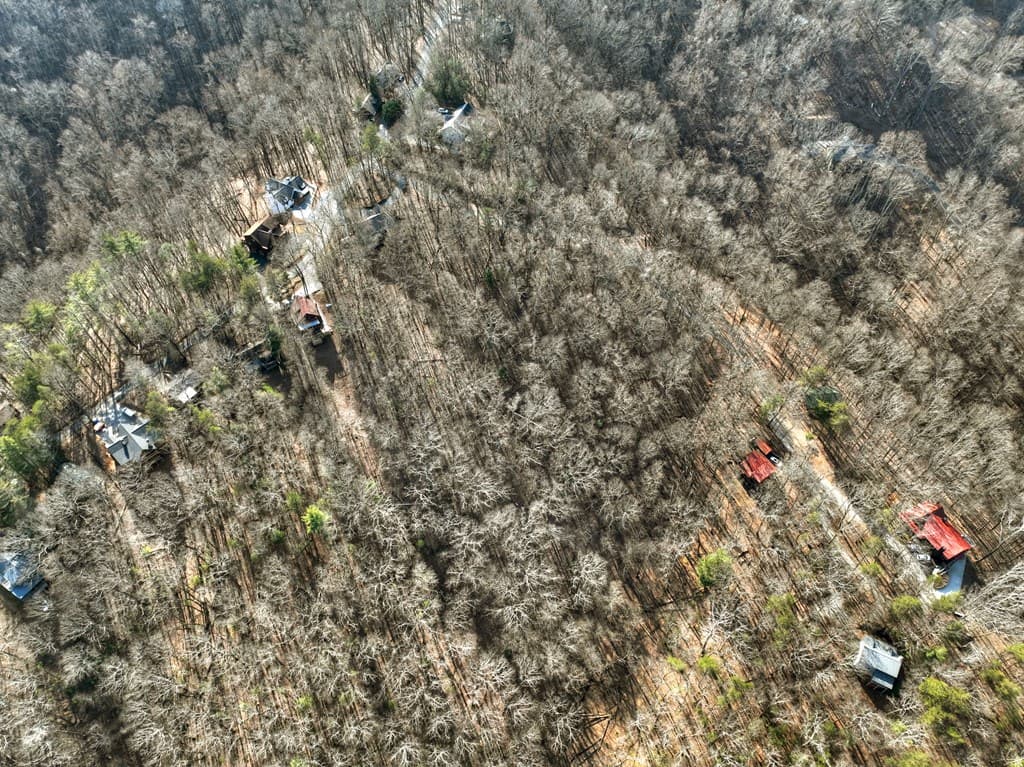 LTS 159+ Hickory Trace, Ellijay GA 30536 - Photo