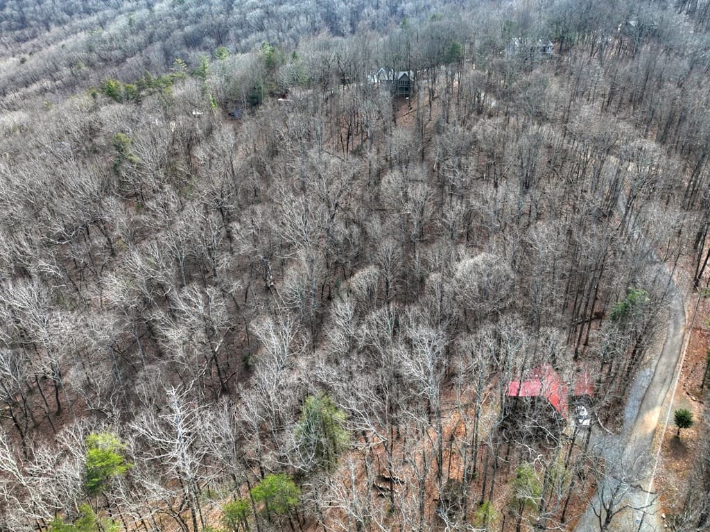 LTS 159+ Hickory Trace, Ellijay GA 30536 - Photo