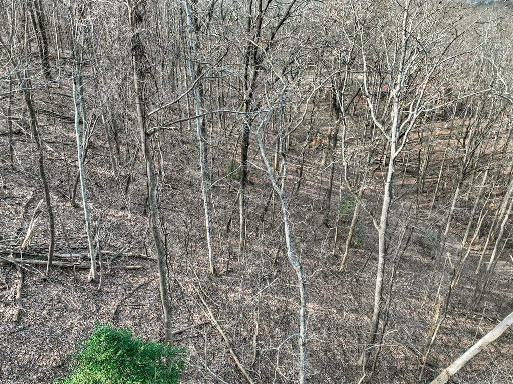 LTS 159+ Hickory Trace, Ellijay GA 30536 - Photo