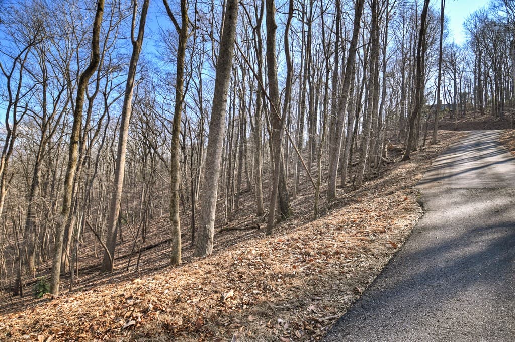 LTS 159+ Hickory Trace, Ellijay GA 30536 - Photo