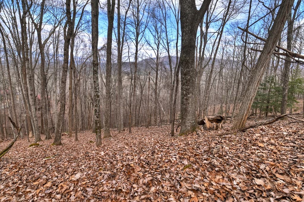 LTS 159+ Hickory Trace, Ellijay GA 30536 - Photo