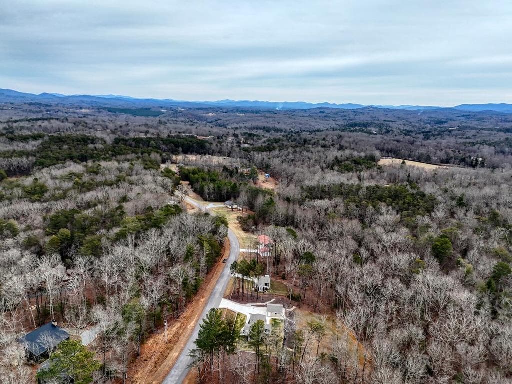 643 Number 20 Mine Road, Mccaysville GA 30555 - Photo