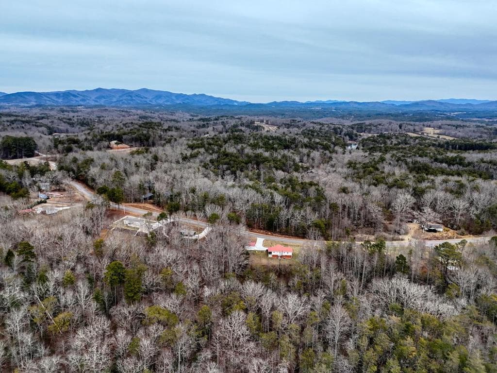 643 Number 20 Mine Road, Mccaysville GA 30555 - Photo