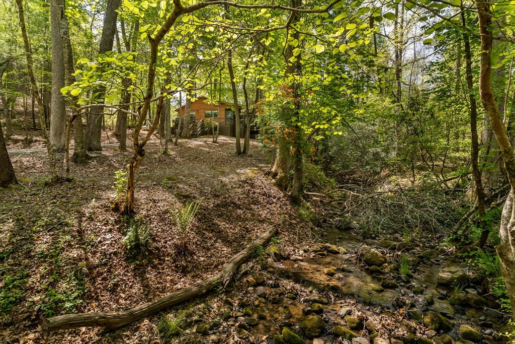 266 Mabry Lane, Morganton GA 30560 - Photo