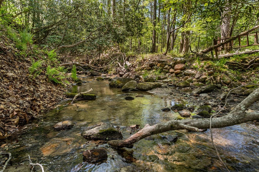 266 Mabry Lane, Morganton GA 30560 - Photo