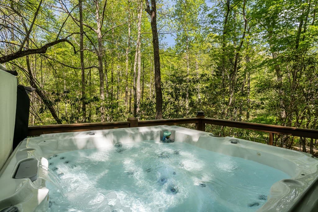 266 Mabry Lane, Morganton GA 30560 - Photo