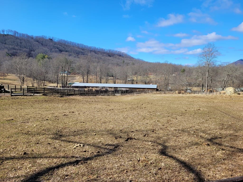 69 Colt Run, Hayesville NC 28904 - Photo