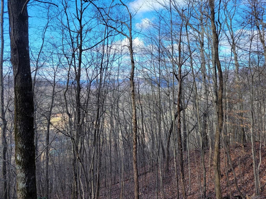69 Colt Run, Hayesville NC 28904 - Photo