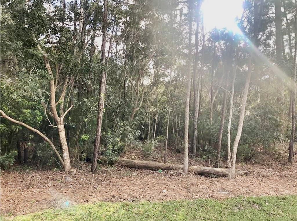 120 Montrose, St Simons Island GA 31522 - Photo