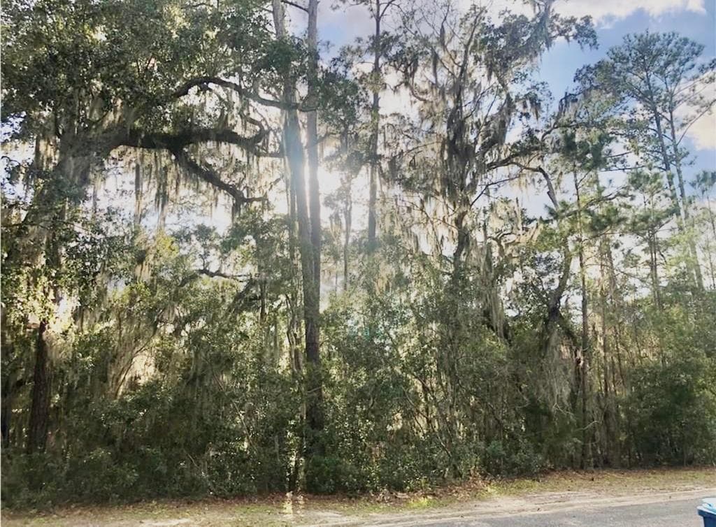 120 Montrose, St Simons Island GA 31522 - Primary photo