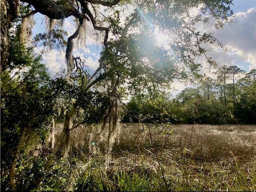 120 Montrose, St Simons Island GA 31522 - Photo