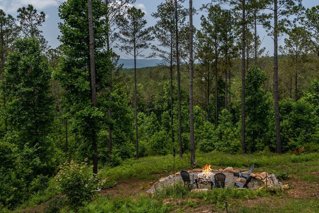 230 High River Landing, Ellijay GA 30540 - Photo