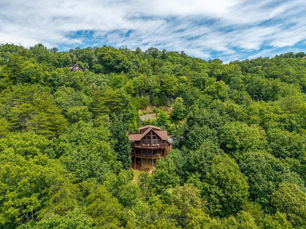 411 Ridge Trail, Blue Ridge GA 30513 - Photo