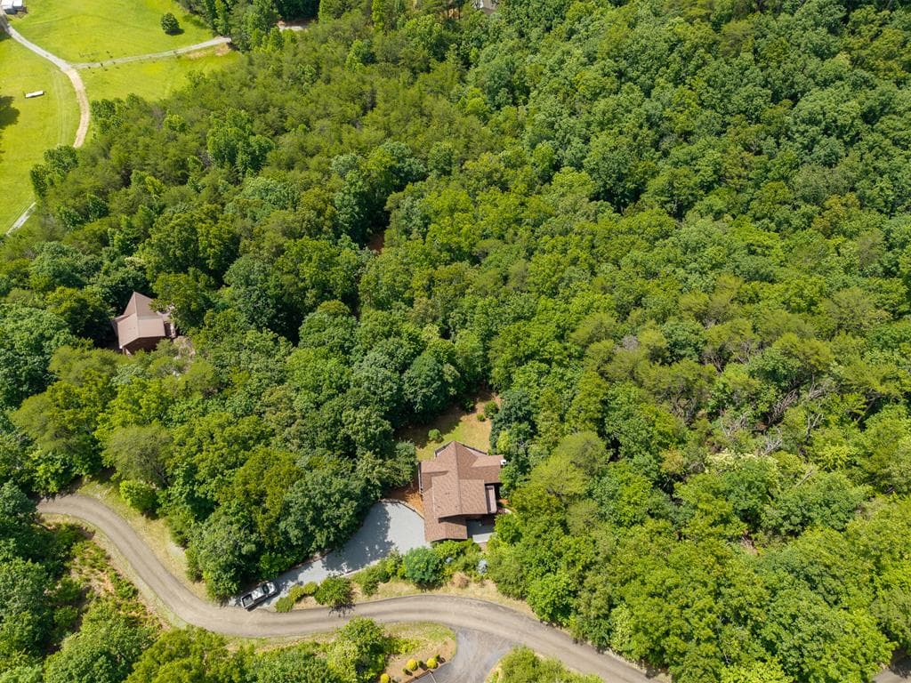 411 Ridge Trail, Blue Ridge GA 30513 - Photo