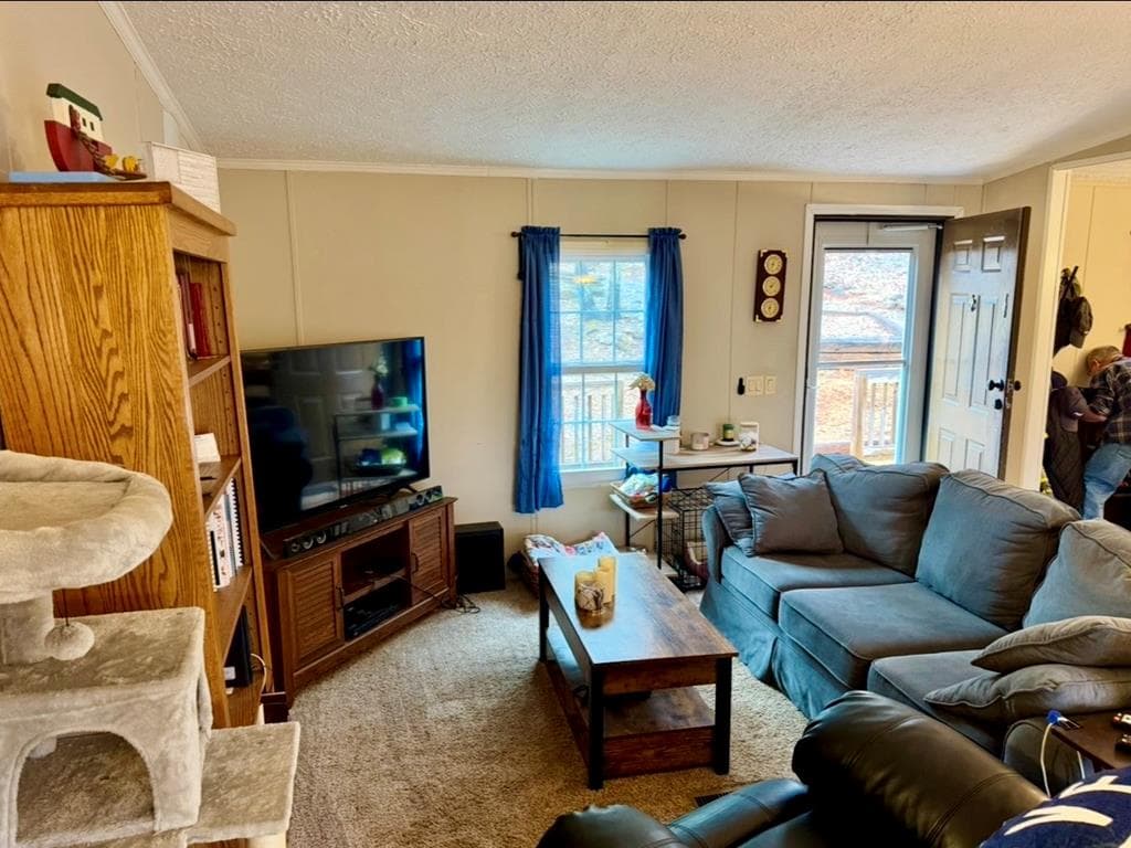 424 Mountain Oak Trail, Jasper GA 30143 - Photo